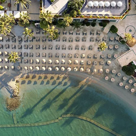 Tui Magic Life - Adults Only