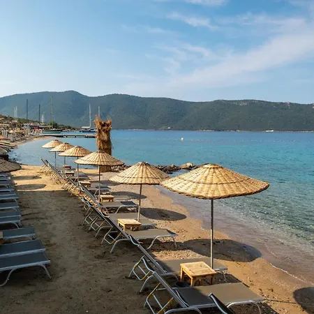 Tui Magic Life - Adults Only (16+) אתר נופש 5*