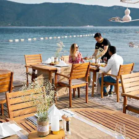 Tui Magic Life - Adults Only (16+) אתר נופש 5*