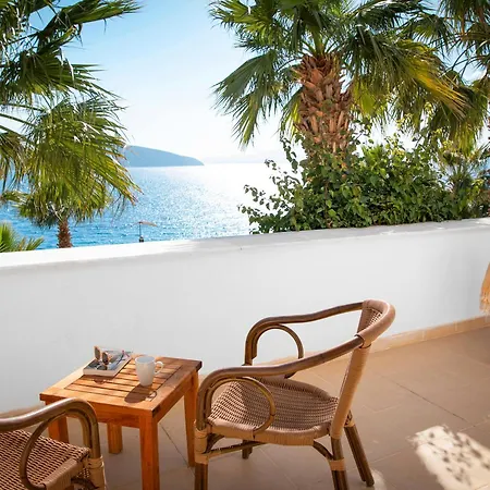 Tui Magic Life - Adults Only (16+) 5* בודרום