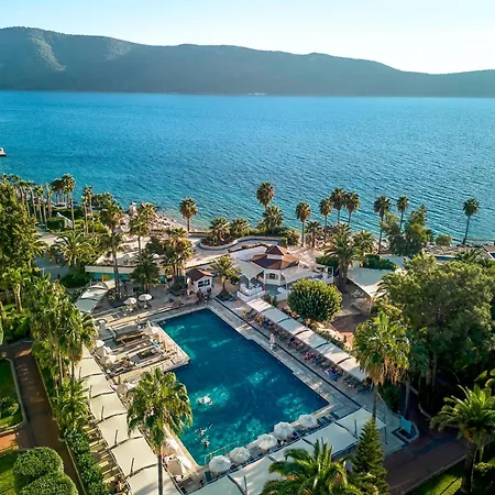 Tui Magic Life - Adults Only (16+) אתר נופש 5*