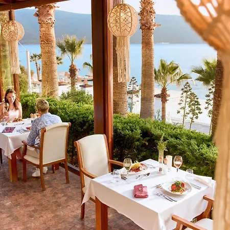 Tui Magic Life - Adults Only (16+) 5* בודרום