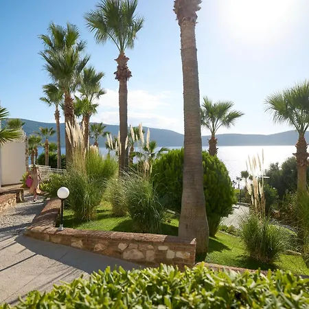 Tui Magic Life - Adults Only (16+) 5* בודרום