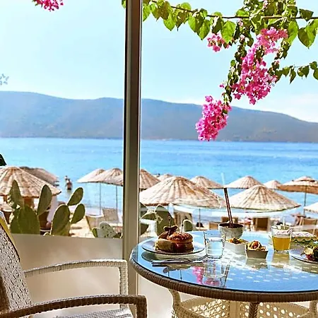 Tui Magic Life - Adults Only 5* בודרום