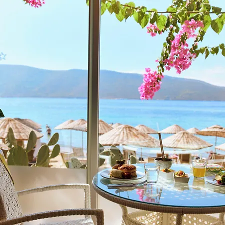 Complex Tui Magic Life - Adults Only 5*