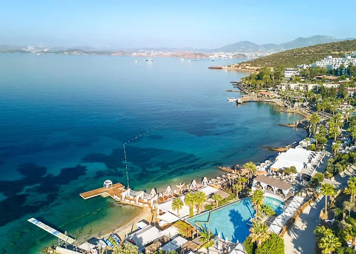 Complex Tui Magic Life - Adults Only 5*